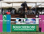 Bologni A Amerigo TosTour2013- S5 2548 : Amerigo, Arezzo, Arezzo Equestrian Centre, Bologni Arnaldo, Toscana Tour 2013, foto di Stefano Secchi ©